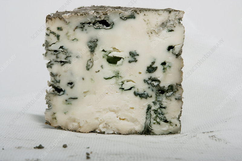 Meredith Dairy Meredith Blue