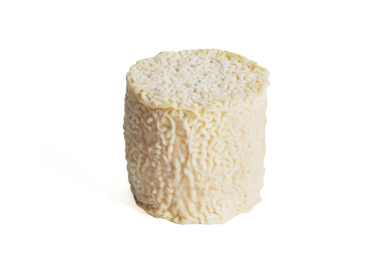 Generic Petit Blaja
