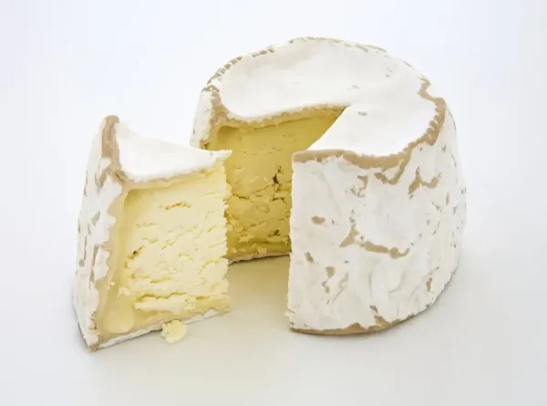 Andante Dairy Picolo