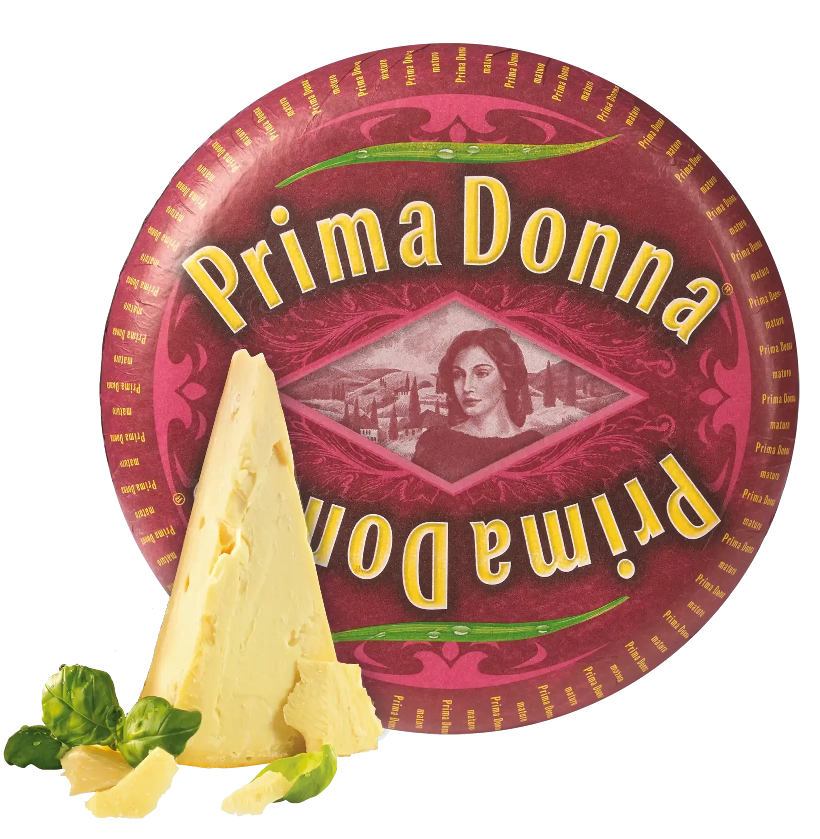 Vandersterre Groep International B.V. Prima Donna maturo